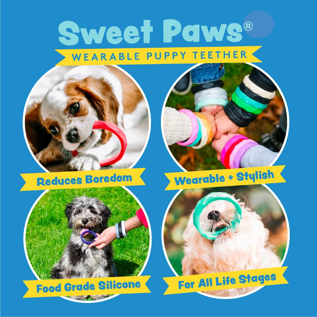 Sweet Paws juguete mordedor para perros pequeños, perfecto para morder y jugar.