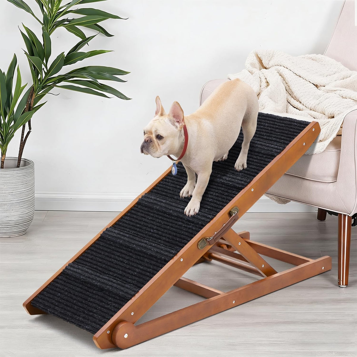 SweetBin rampa para perros desplegable facilita subir a la cama.