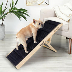 SweetBin rampa para perros: cama plegable para subir sin saltar.