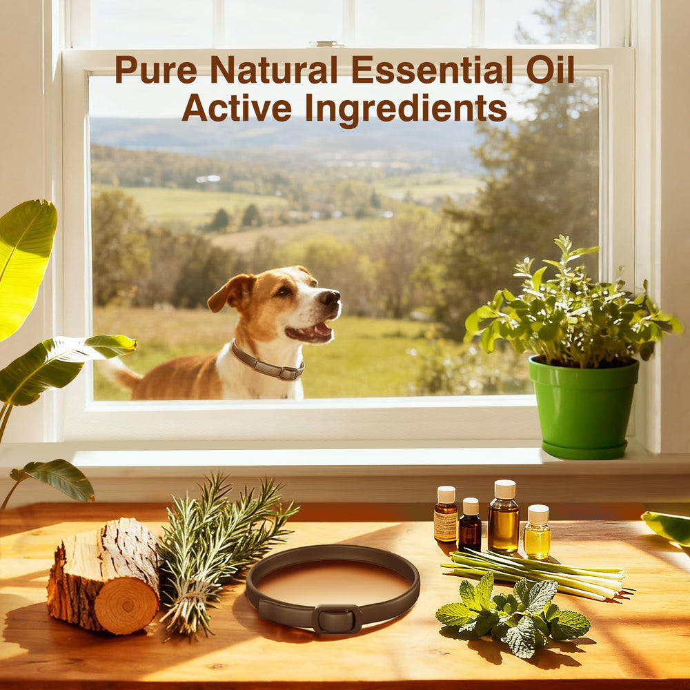 SweetEcho collar ingredientes naturales: aceites y aroma agradable.