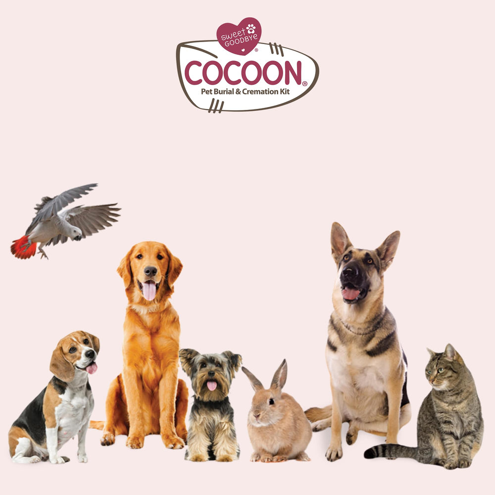 Sweet Goodbye Cocoon: accesorios de ceremonia para personalizar el memorial