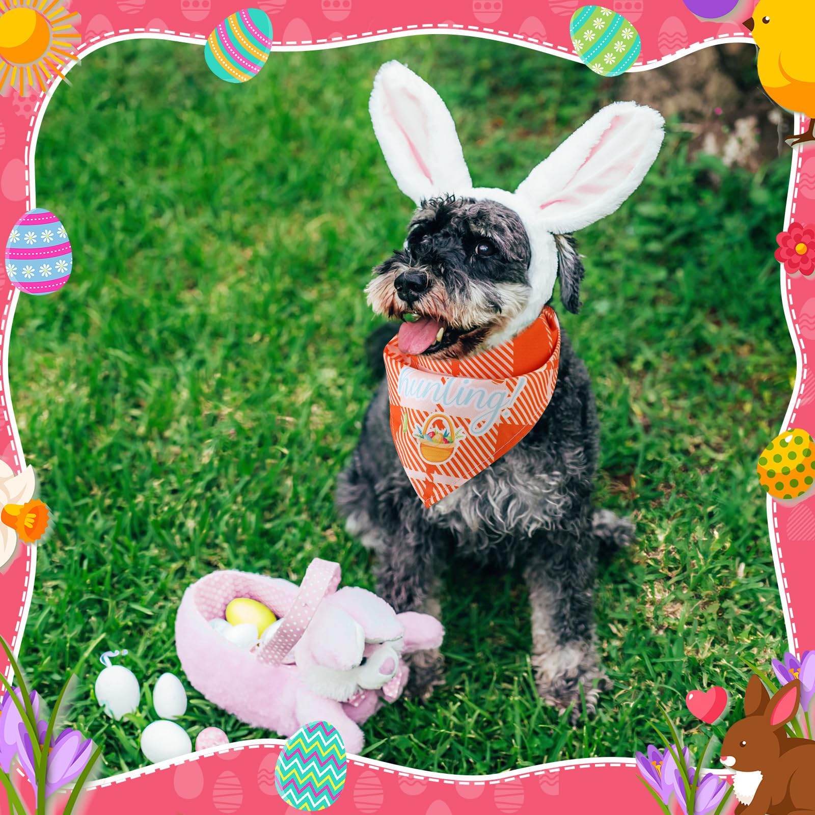 Uso versátil en grooming y fiestas con mascotas.