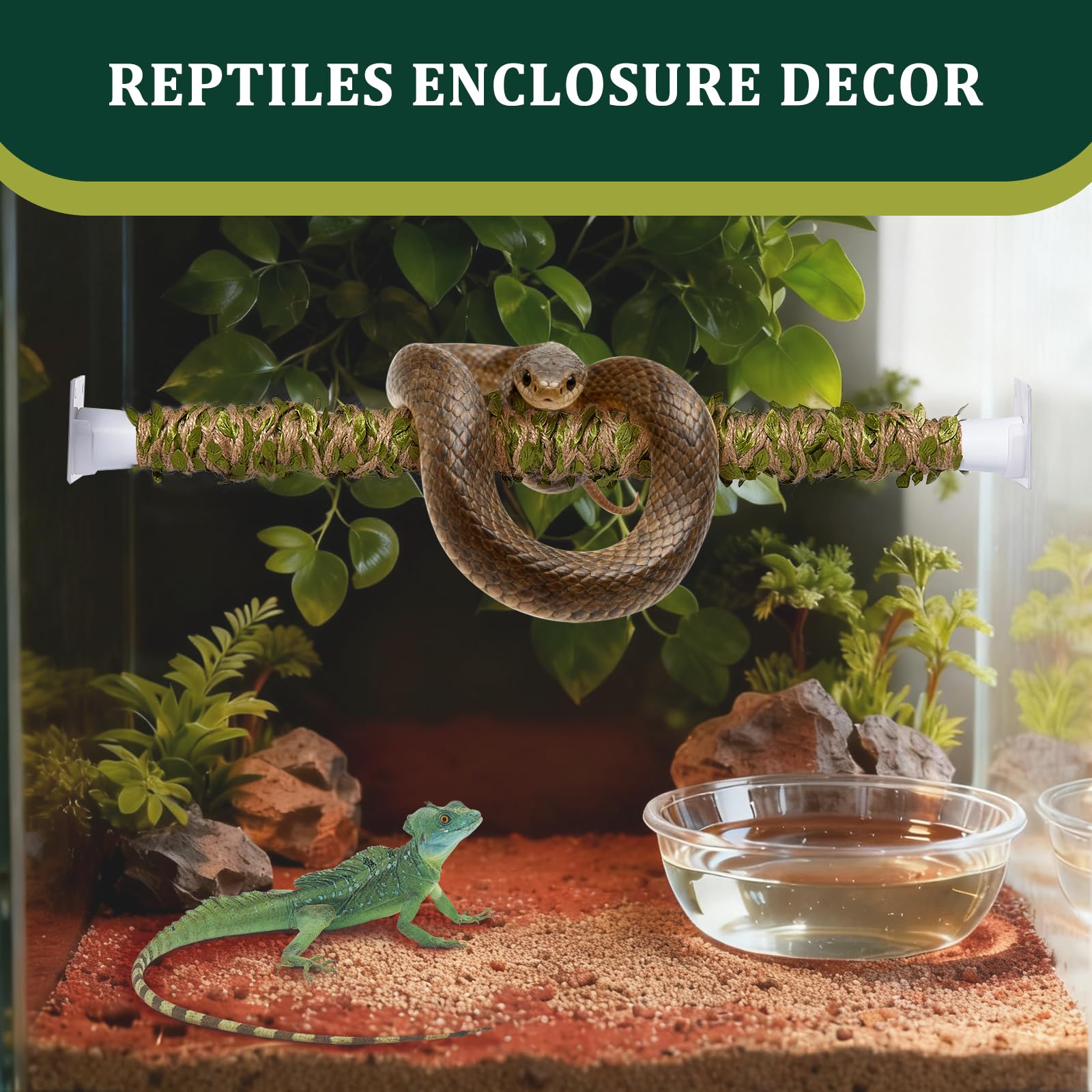 Swirge enriquecimiento tanque reptiles con vid arbórea estimula exploración y agarre.