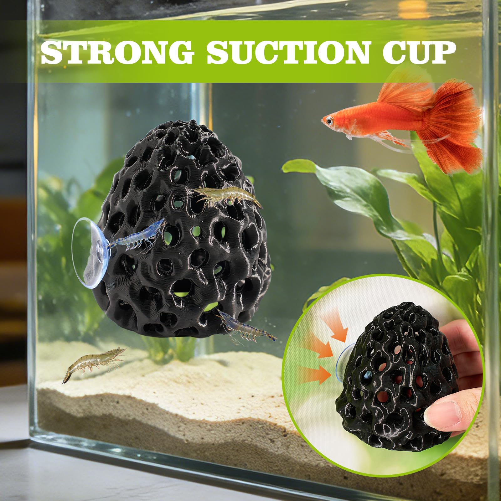 Swirge refugio betta ventosa: instalación rápida en cualquier acuario.