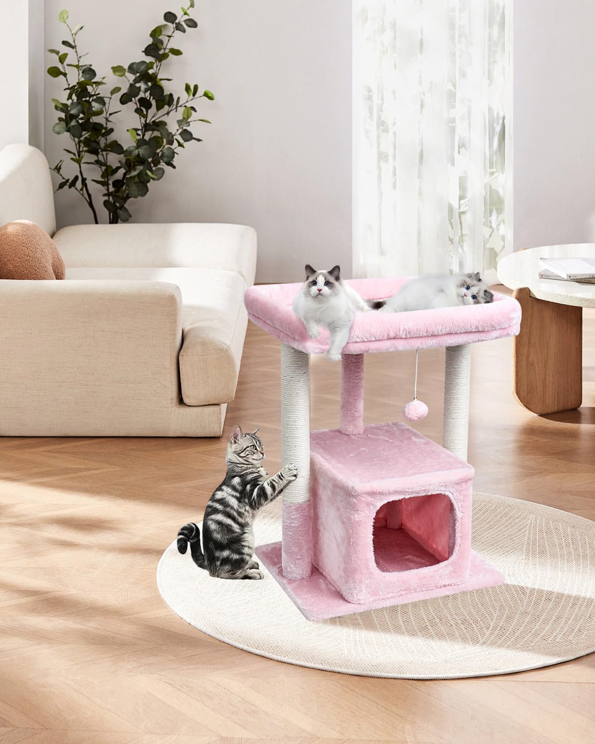 SYANDLVY cueva para gatitos, refugio cómodo para esconderse