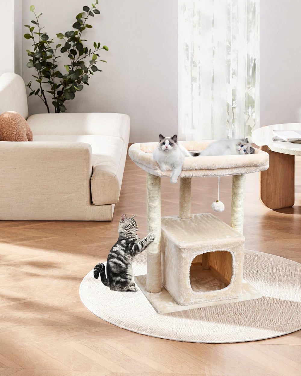 SYANDLVY arbol-gatos-interior-bola-colgante fomenta juego activo y exploración.