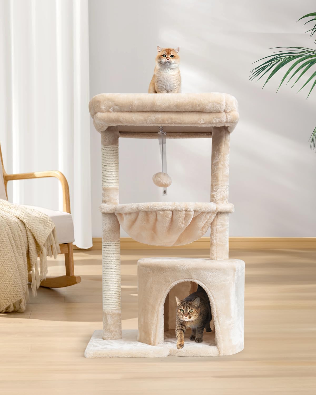 syandlvy arbol gatos pequenos base estable, seguridad durante saltos