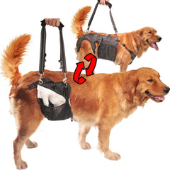SyFatWeen arnés de rehabilitación para perro trasero ofrece apoyo suave al caminar.
