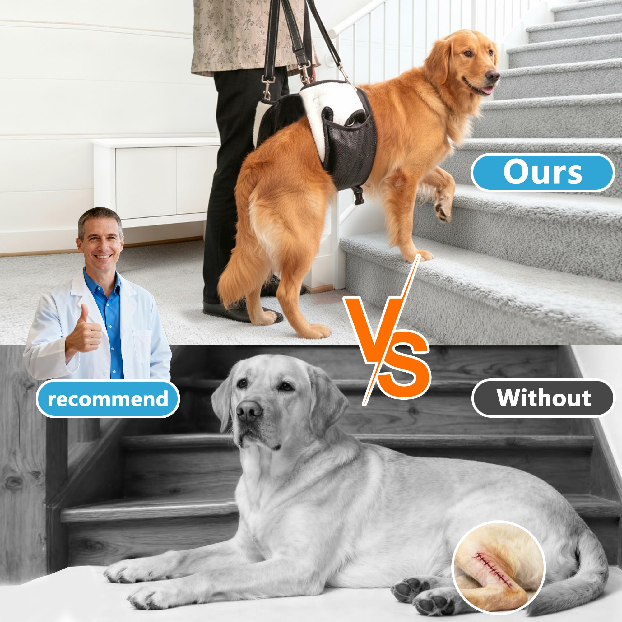 SyFatWeen mango ergonómico facilita el control durante la rehabilitación canina.