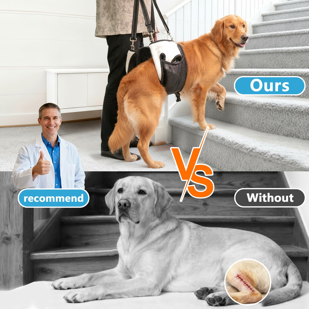 SyFatWeen mango ergonómico facilita el control durante la rehabilitación canina.