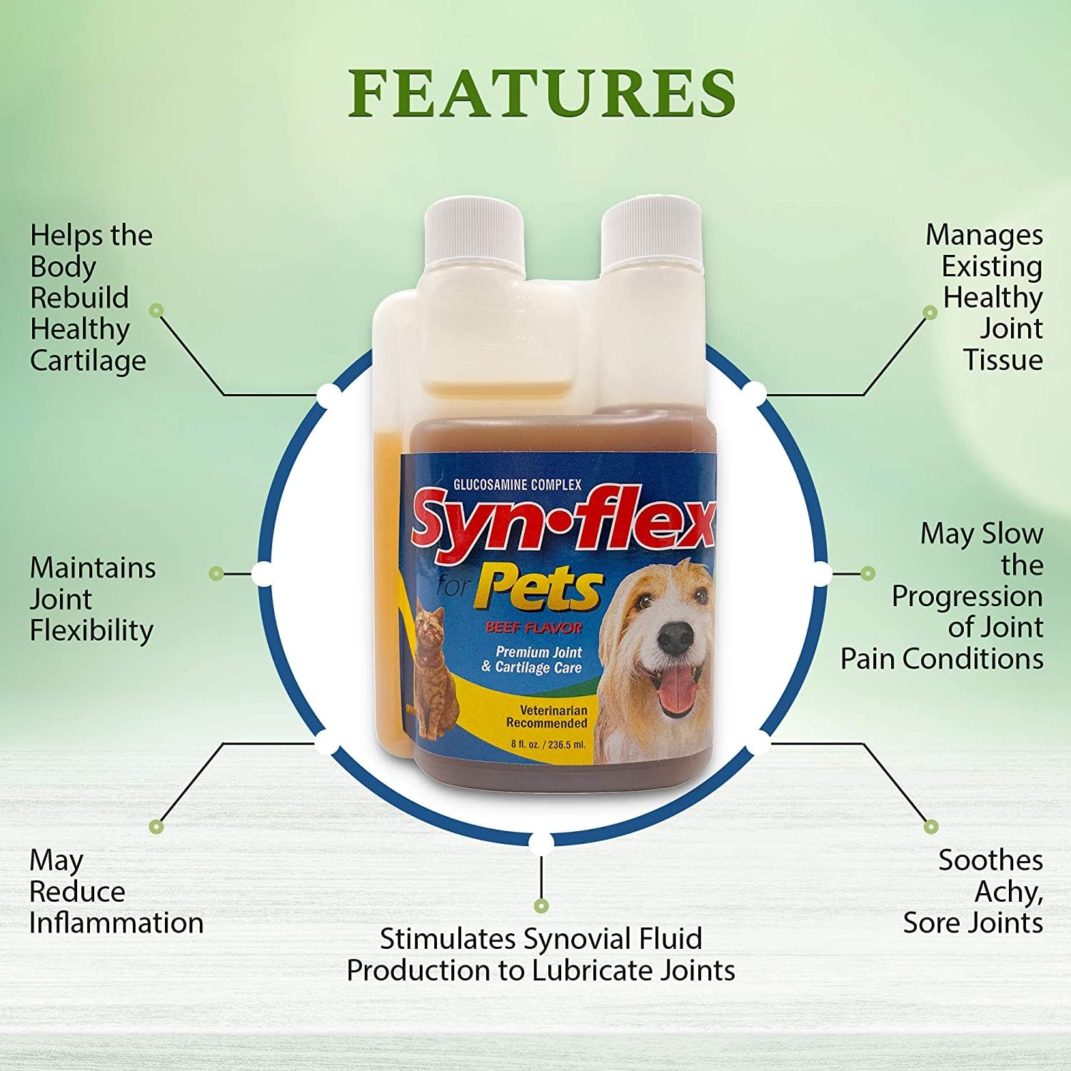 Synflex, manganeso y bromelina para soporte de tejidos y movilidad.