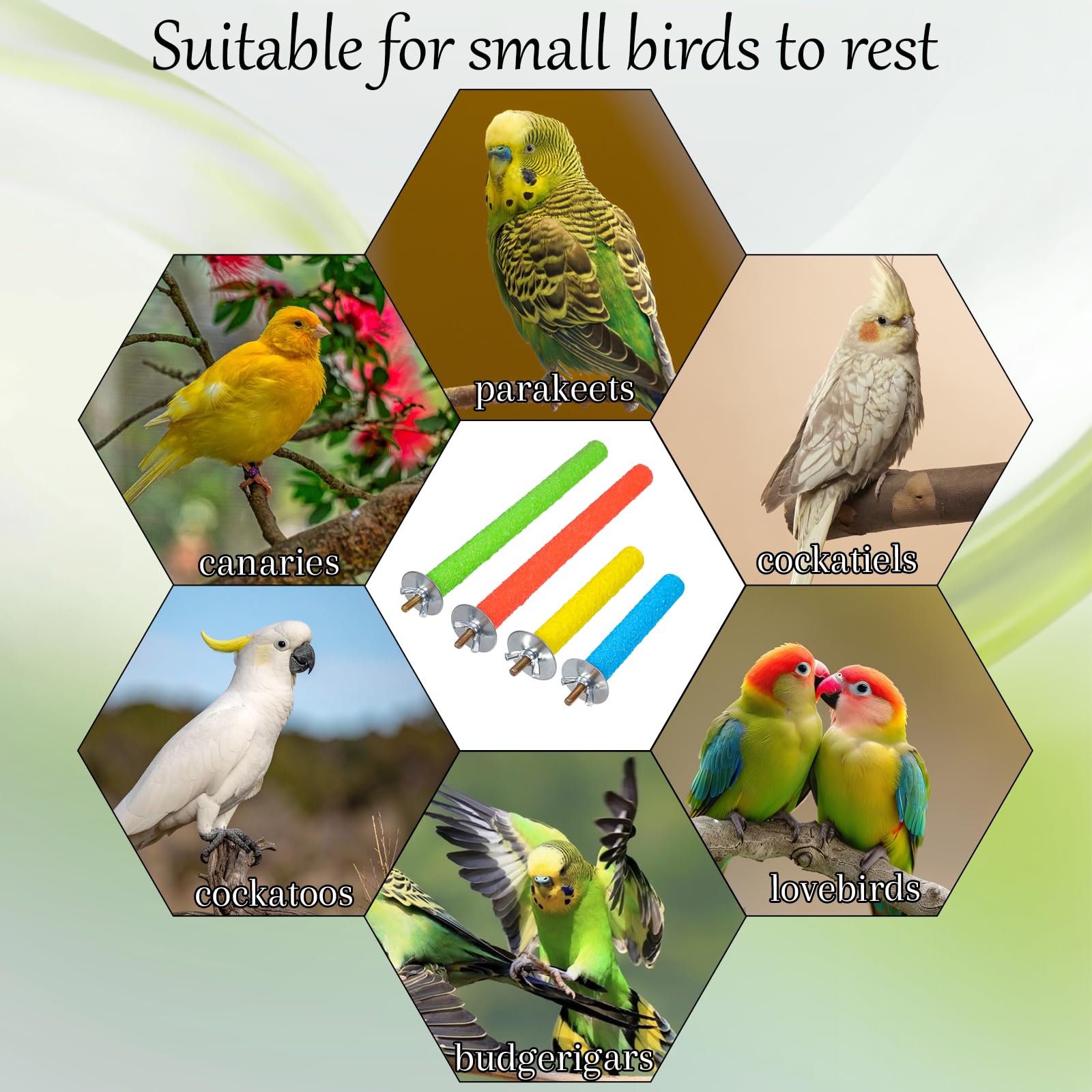 SynHHnergyx jaula de aves con instalación fácil y rápida