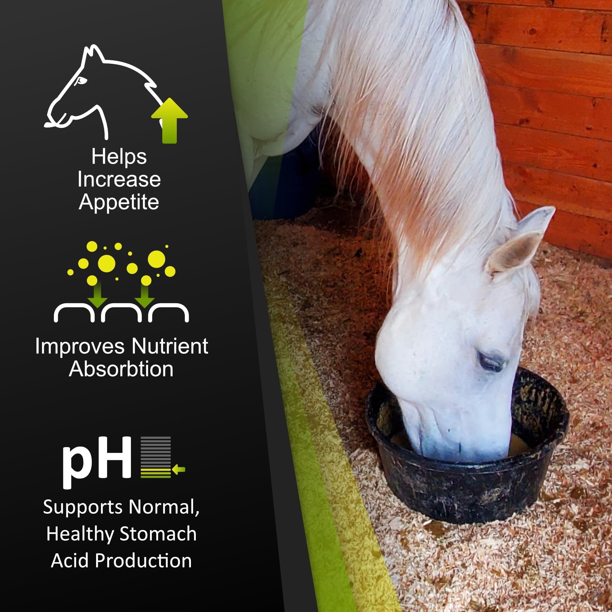 Caballo comiendo con GastroMend, apoyo digestivo diario durante entrenamiento o descanso.