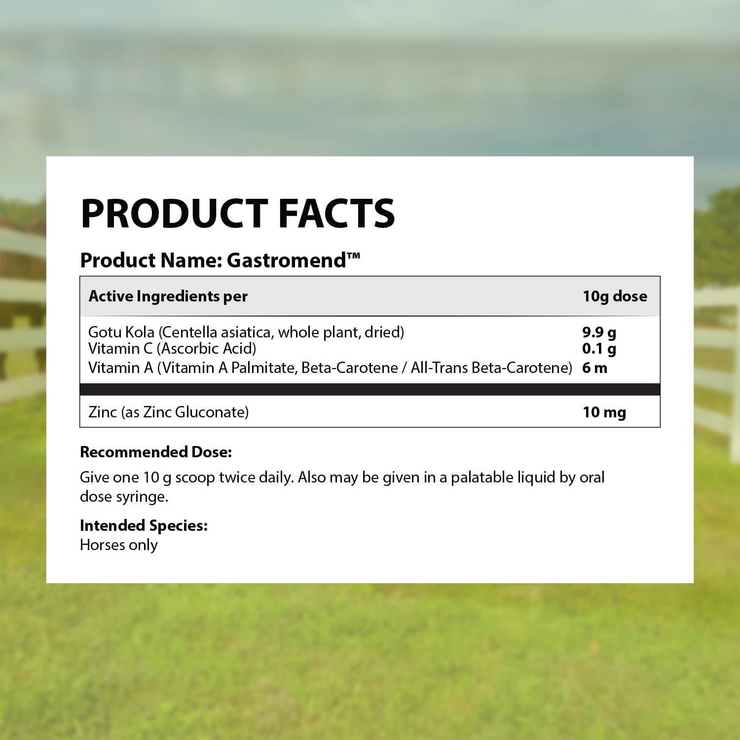 Caja de GastroMend Equine en estante del establo, lista para uso diario.