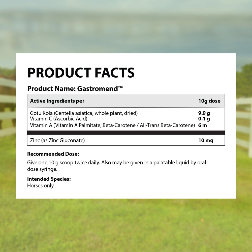 Caja de GastroMend Equine en estante del establo, lista para uso diario.