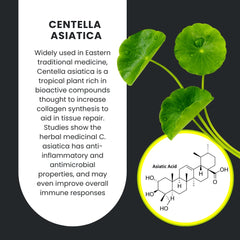 Polvo fino de GastroMend, textura agradable que se mezcla con el pienso diario.