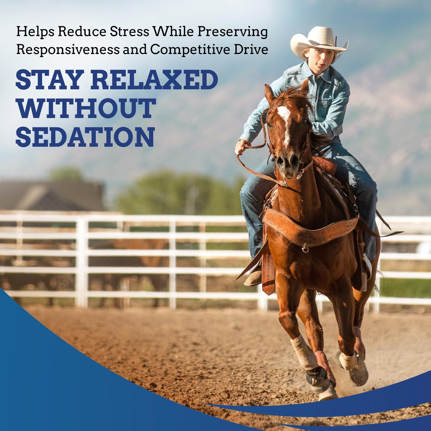 SynNutra Equine TryChill: caja del producto para revisión de instrucciones.