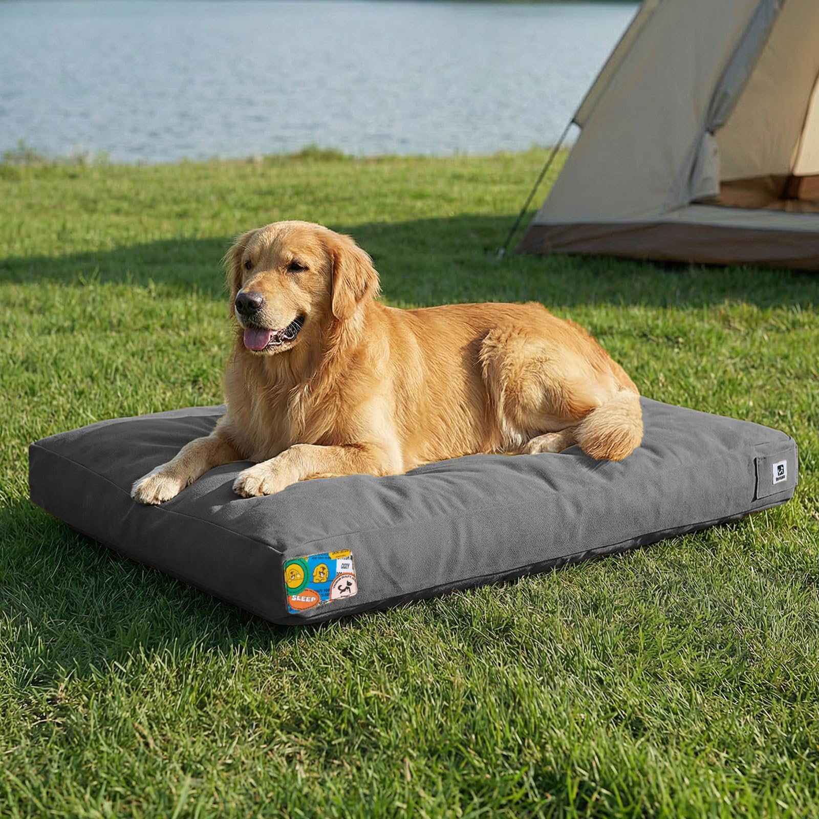 Cama Sytopia para perros de 42 pulgadas en exterior, ideal para uso diario.