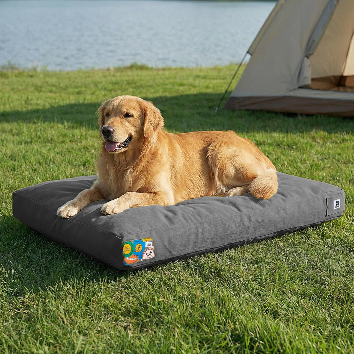 Cama Sytopia para perros de 42 pulgadas en exterior, ideal para uso diario.