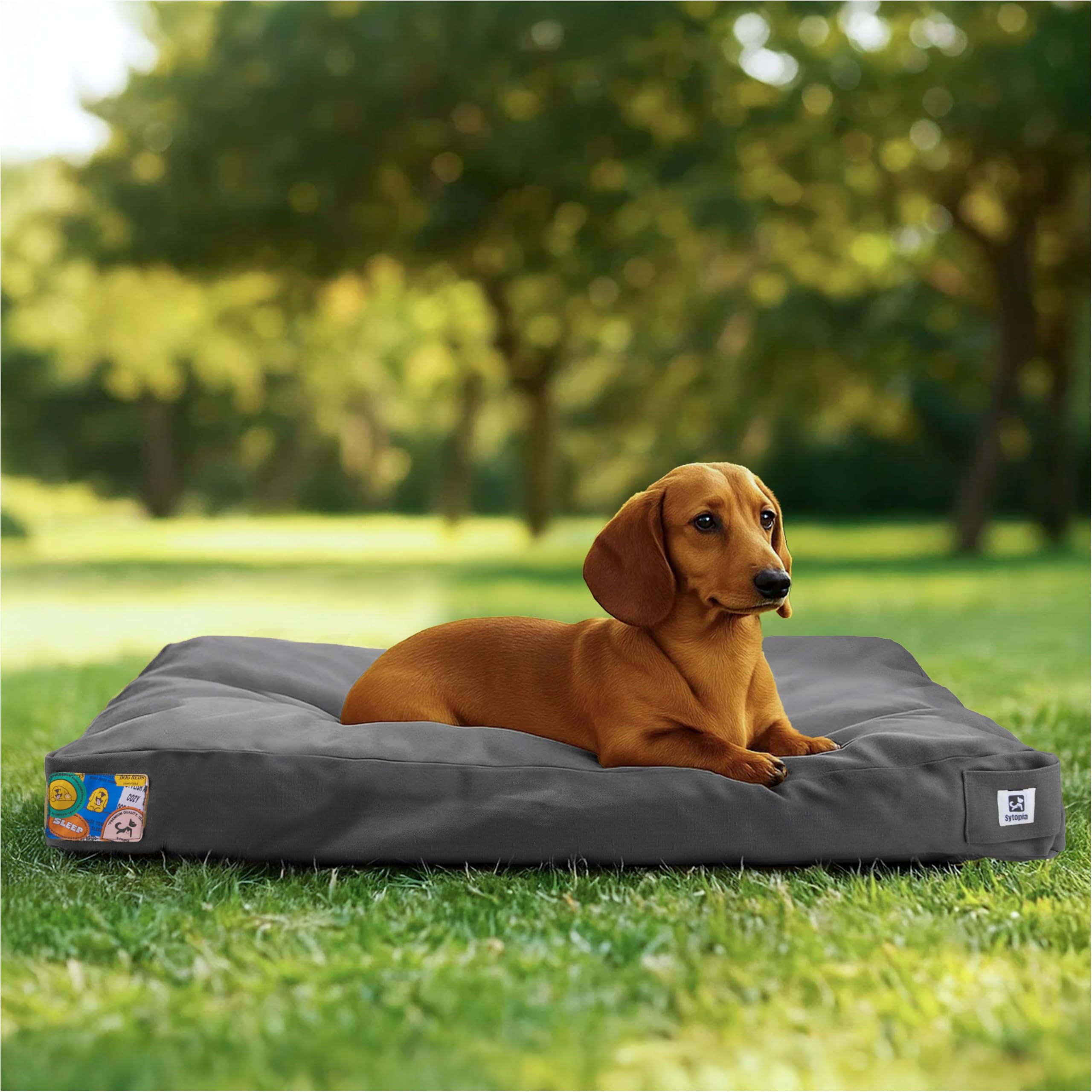 Cama Sytopia exterior en lona de 30 pulgadas, ideal para descansar al aire libre.