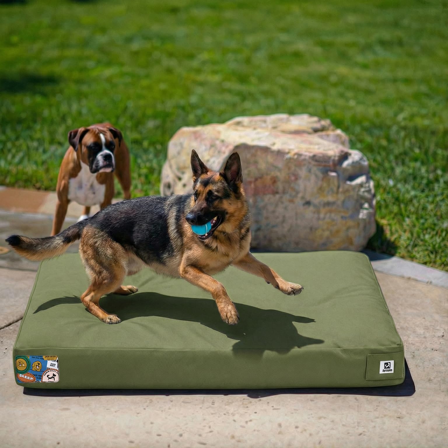 Cama Sytopia para perros impermeable de lona, ideal para uso exterior y patios.