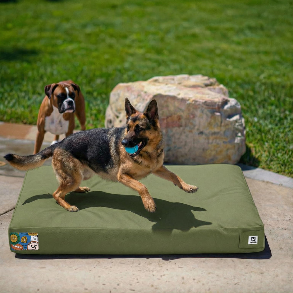Cama Sytopia para perros impermeable de lona, ideal para uso exterior y patios.