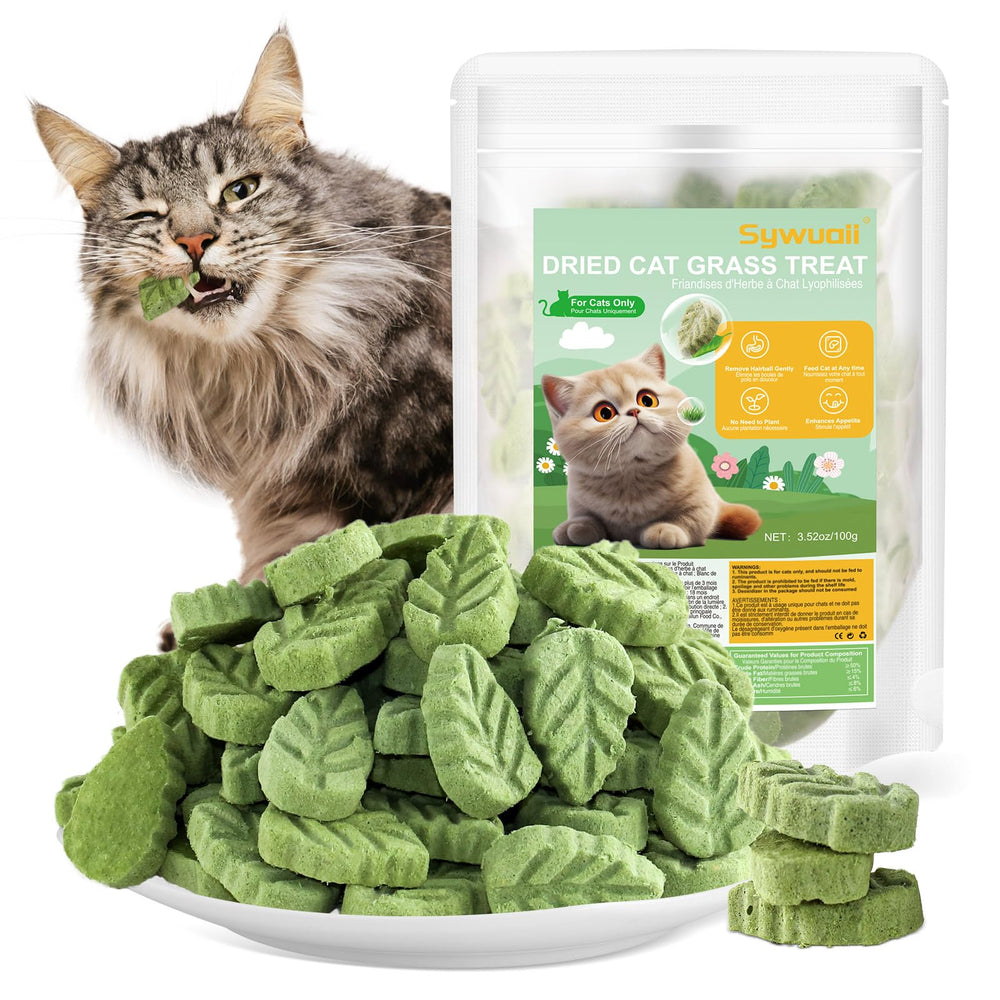 SYWUAII golosina de hierba para gatos en envase listo para servir.