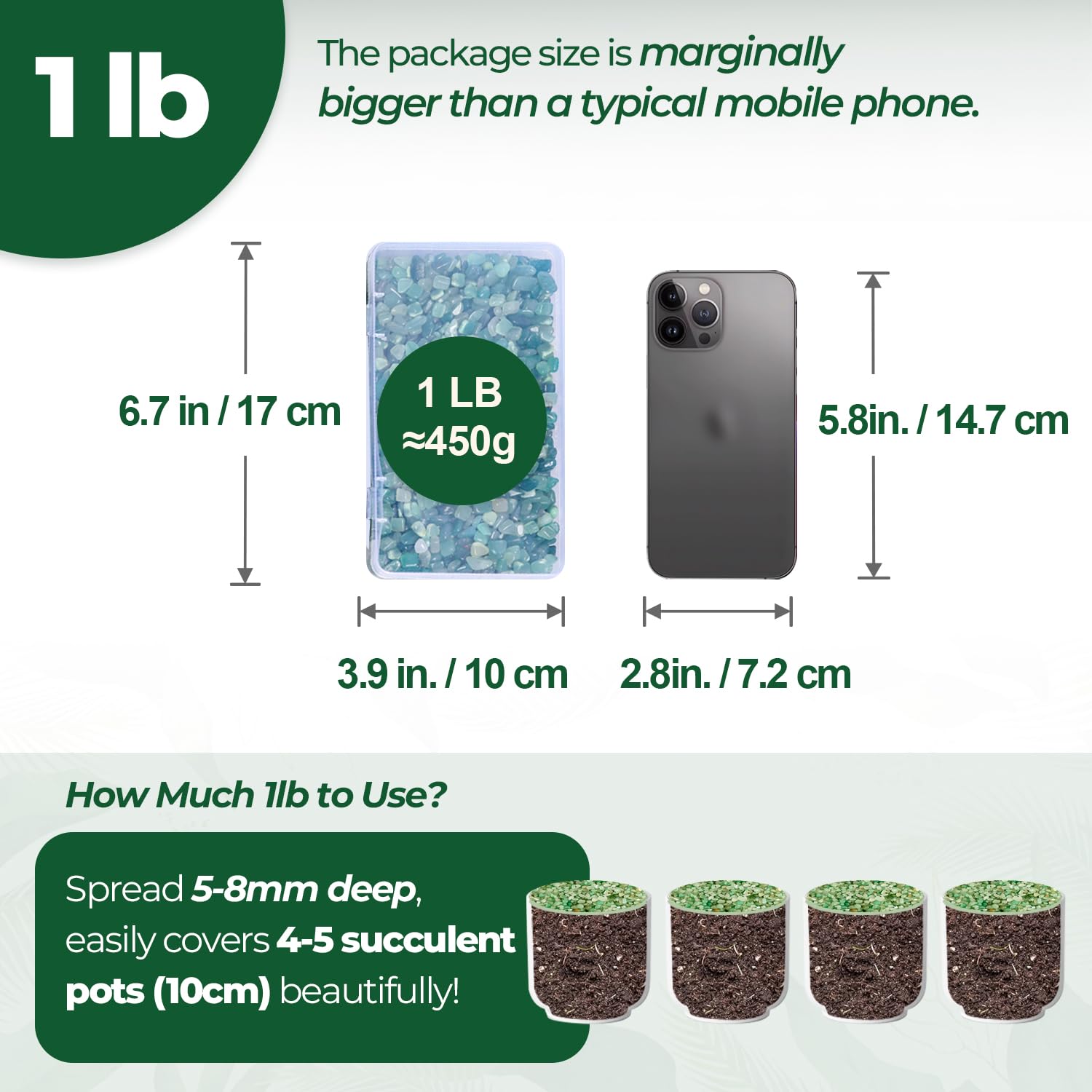 Piedras decorativas para terrario drenaje y estilo verde natural con T4U.