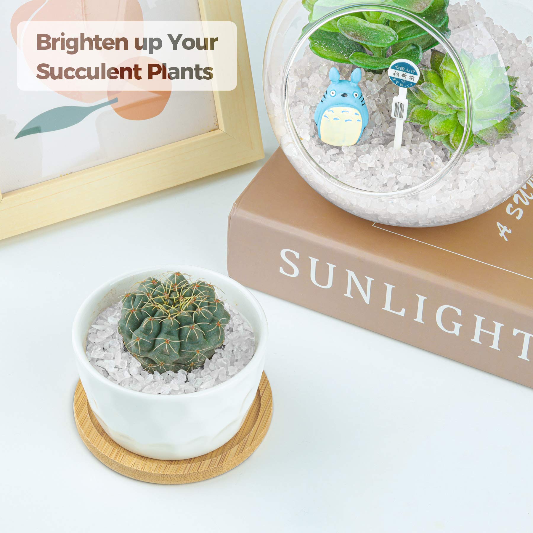 T4U quartz pour vase – petites pierres lumineuses pour déco