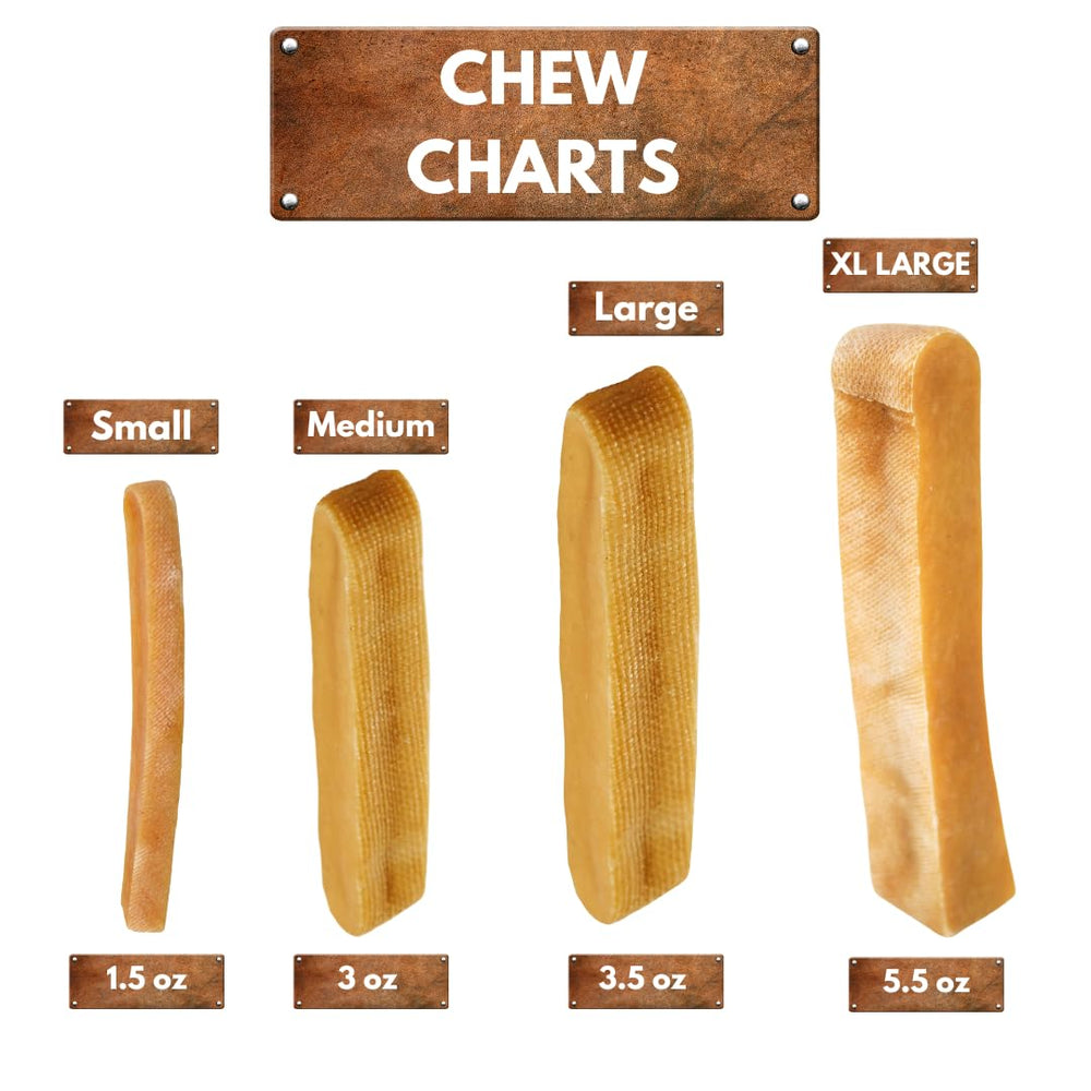 Taboche Dog Chew Yak Cheese – enfoque en cuidado dental mediante masticación de textura dura.