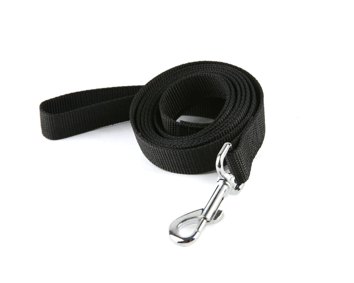 TAIDA correa de 6 pies y 1 pulgada de ancho, ideal para paseos controlados.
