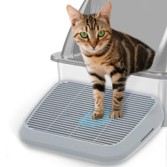 TAILRYTH rampa elevada para caja de arena facilita acceso cómodo para gatitos y mayores