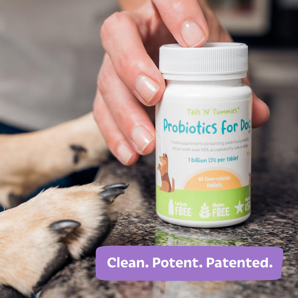 Tabletas de Tails 'N' Tummies para perros, apoyo a la regularidad digestiva
