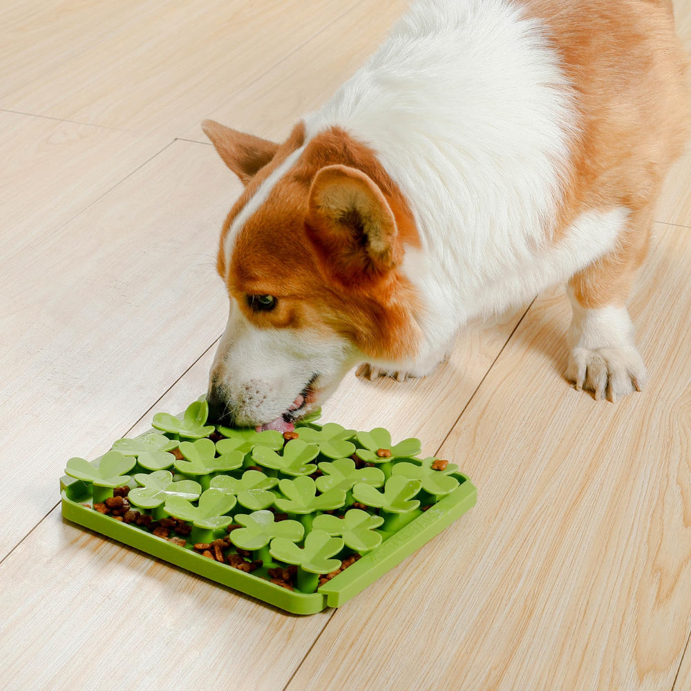 Tall Tails Clover Foraging Mat, uso con kibble para experiencia interactiva.