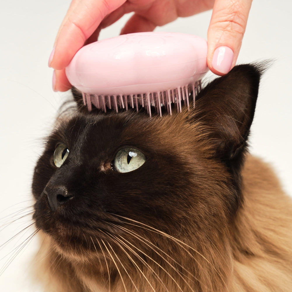 Tangle Teezer deslanado suave del pelo del gato para pelaje fino.