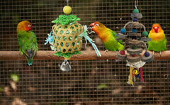Juguete TANOMA con ramas naturales para aves, fomenta el forrajeo y la masticación saludable.