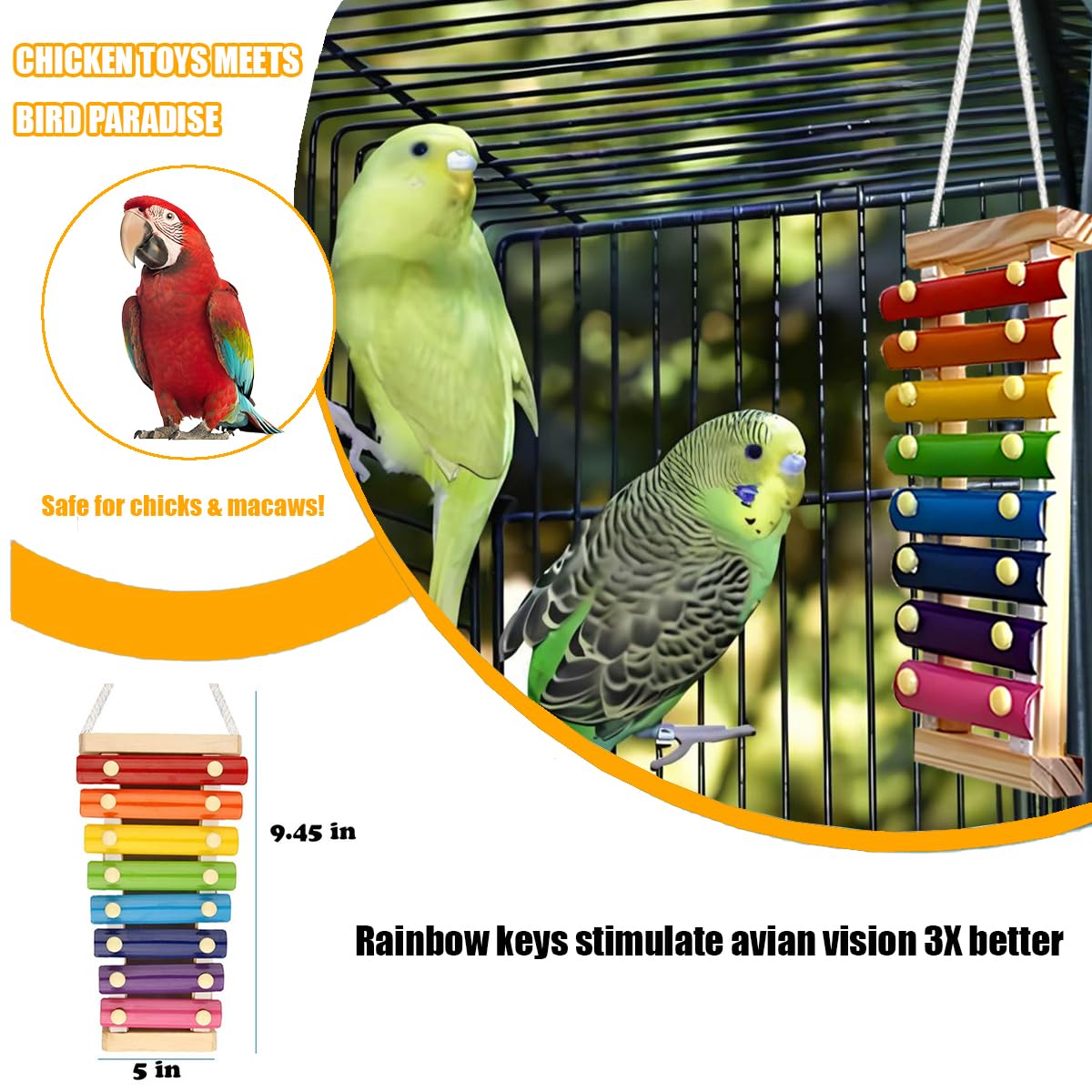 Tarandus xilófono colorido para aves, estímulo visual y musical para cada jornada.