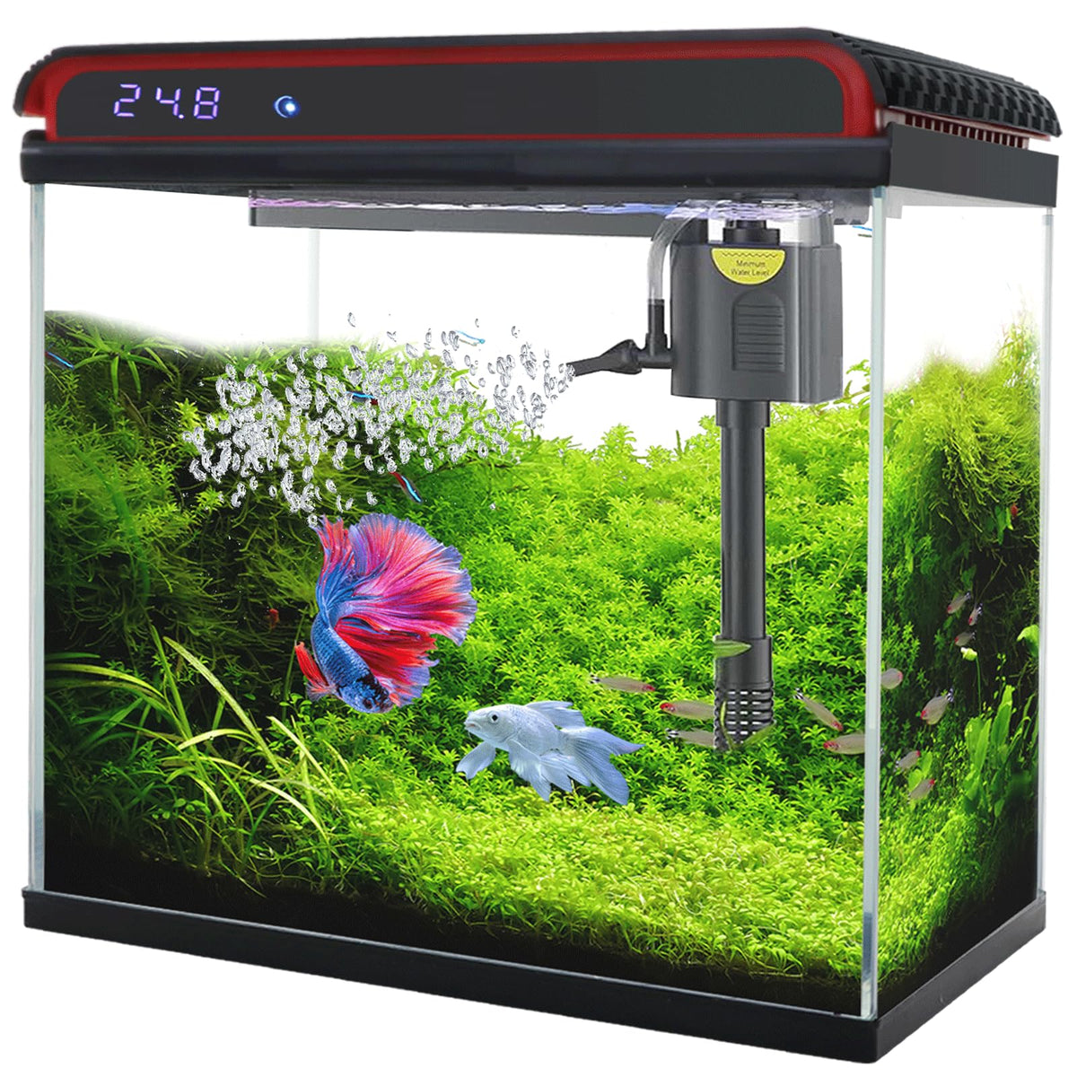 Tararium 20 Galón, acuario de vidrio ultra transparente para ver a tus peces con claridad