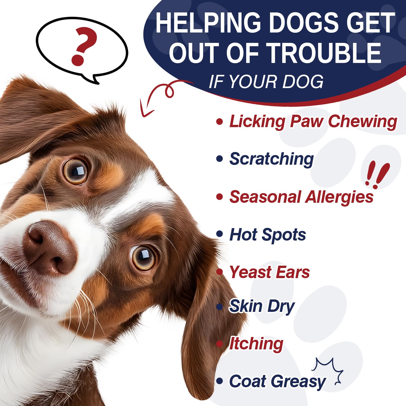 Taraxa masticables para perros: textura suave y sabrosa para mayor aceptación.