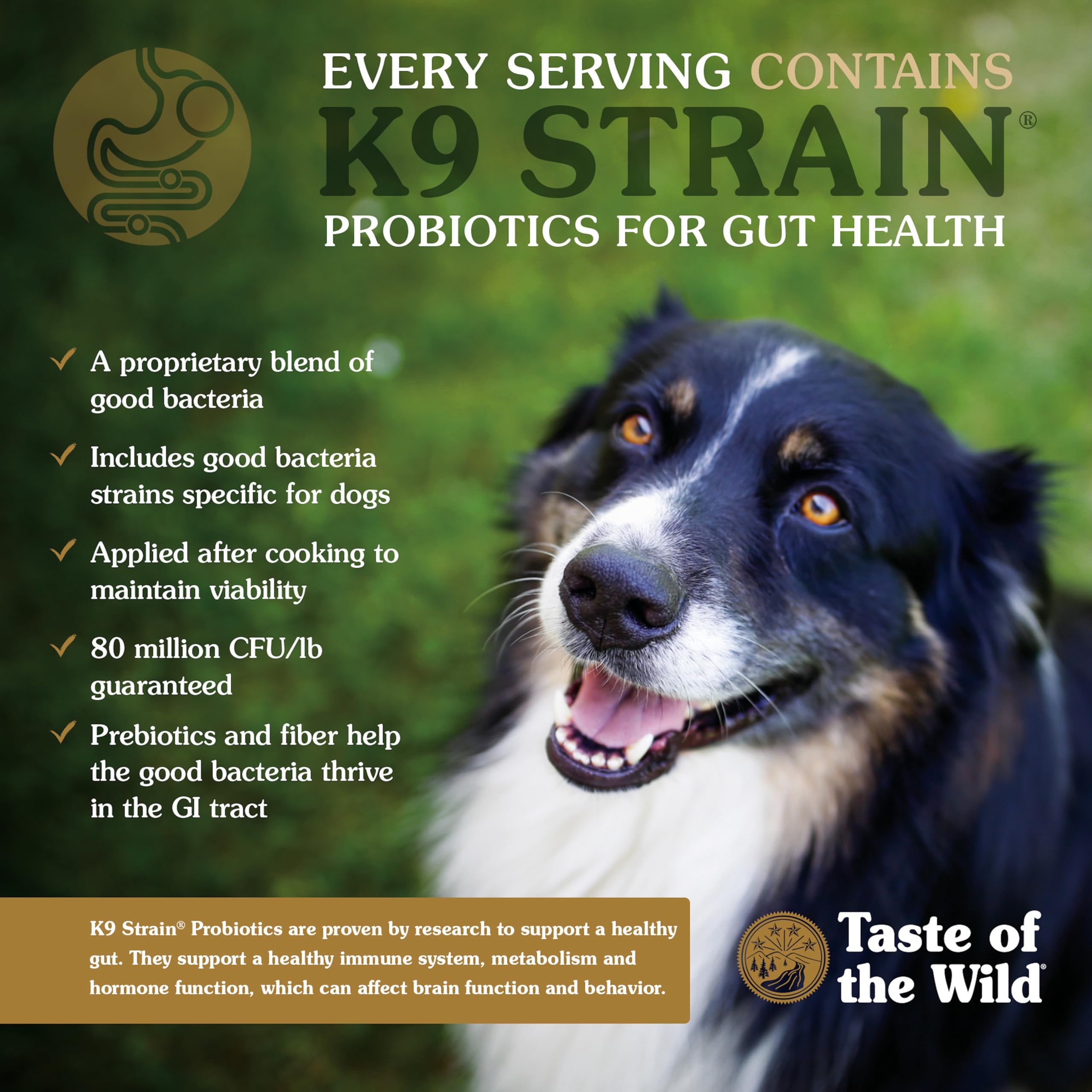 Taste of the Wild Pacific Stream proteína real para músculos fuertes