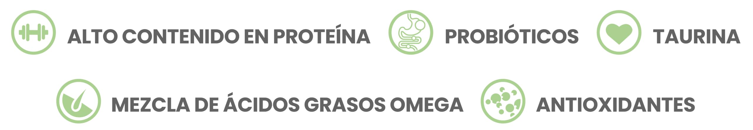 Taste of the Wild Rocky Mountain: croquetas con proteína alta para energía y tono corporal.