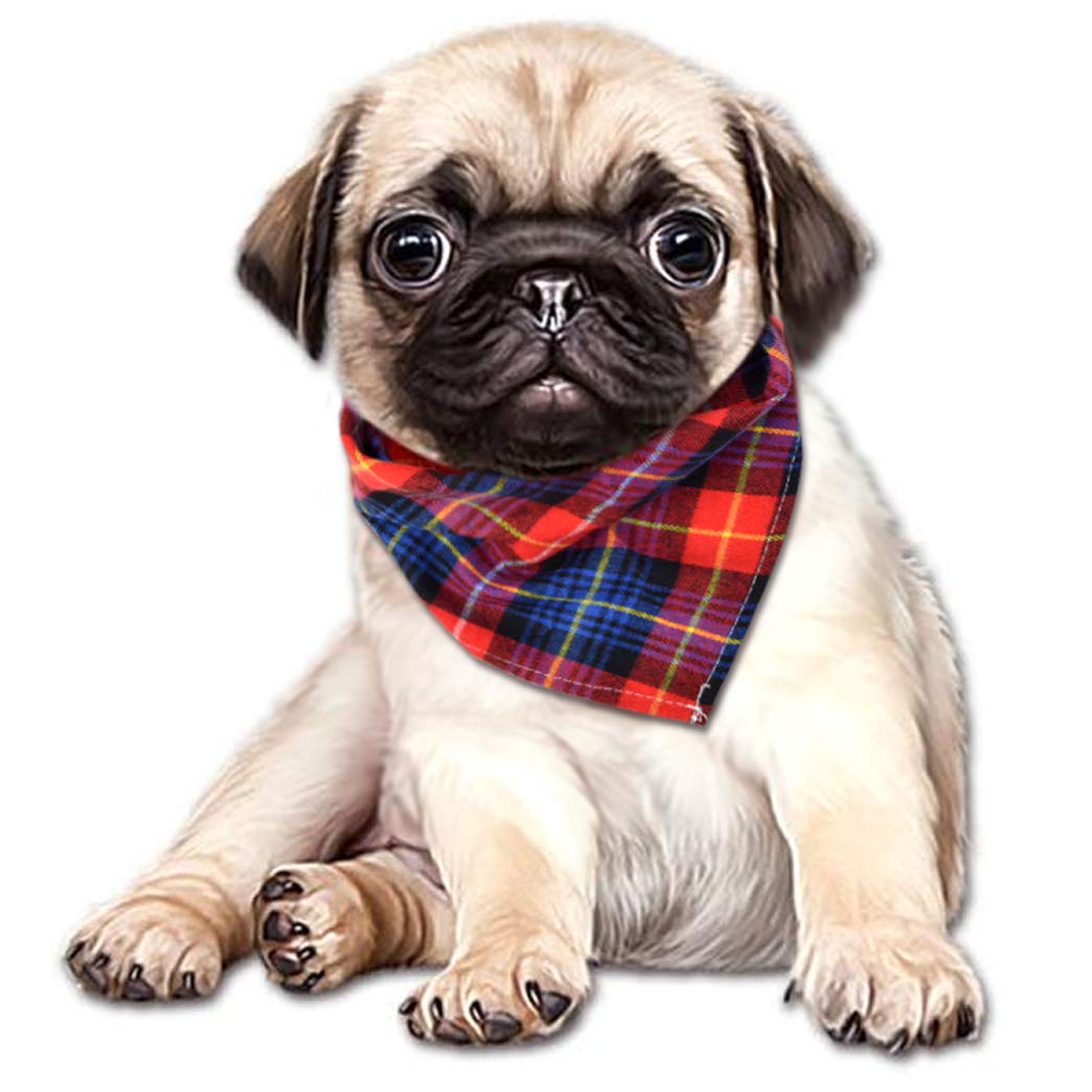 Tayfremn bandanas para perros y gatos, variedad de patrones para fotos o eventos.