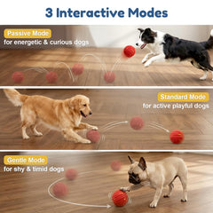 Bola interactiva TBC PET, detalle de modos para adaptar la energía del perro.