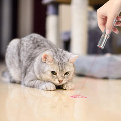 TBTeek chat — moteur tournant avec motifs variés pour stimulation interactive.