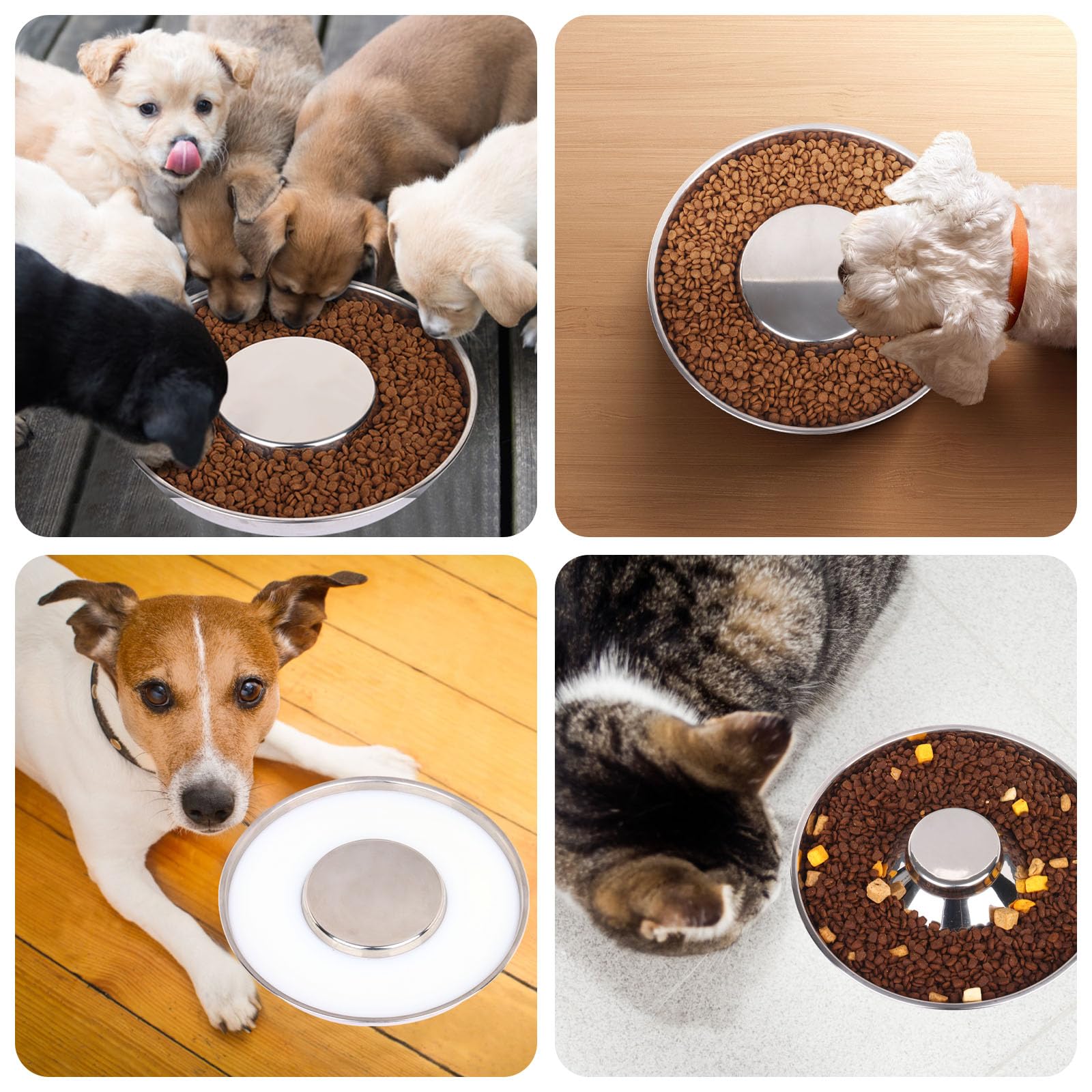 Tchrules juego-4-cuencos, ideal para varios cachorros en casa.