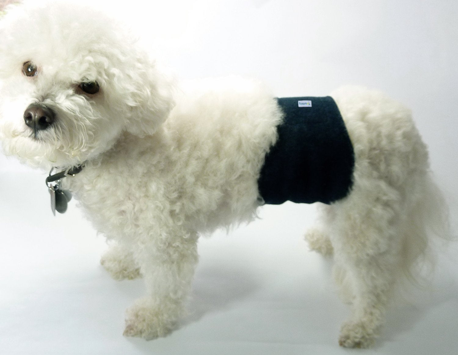 Teamoy diseño para talla L1, adecuado para perros grandes.