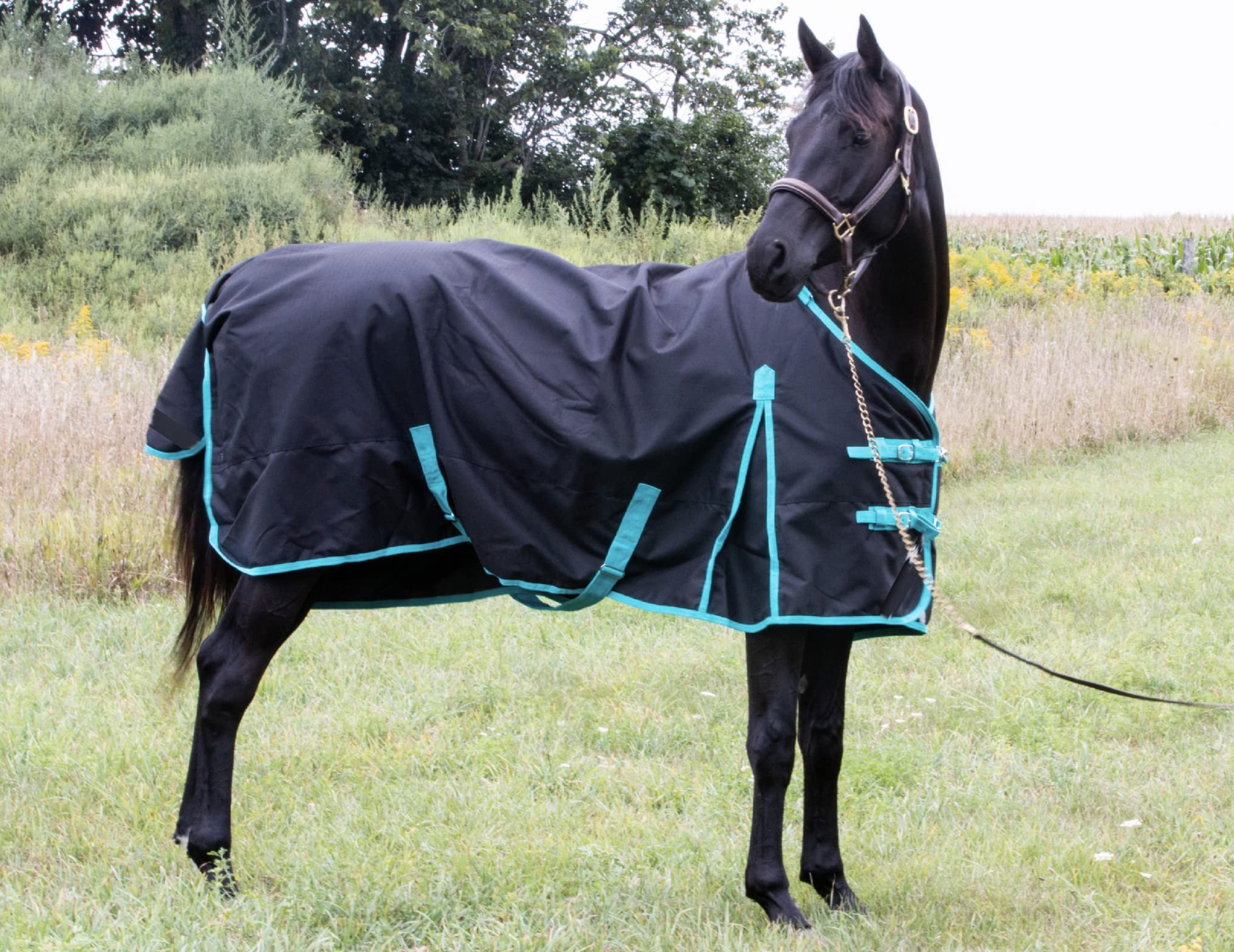 Tech Equestrian capa lluvia cierre frontal con hebillas ajustables para ajuste cómodo.
