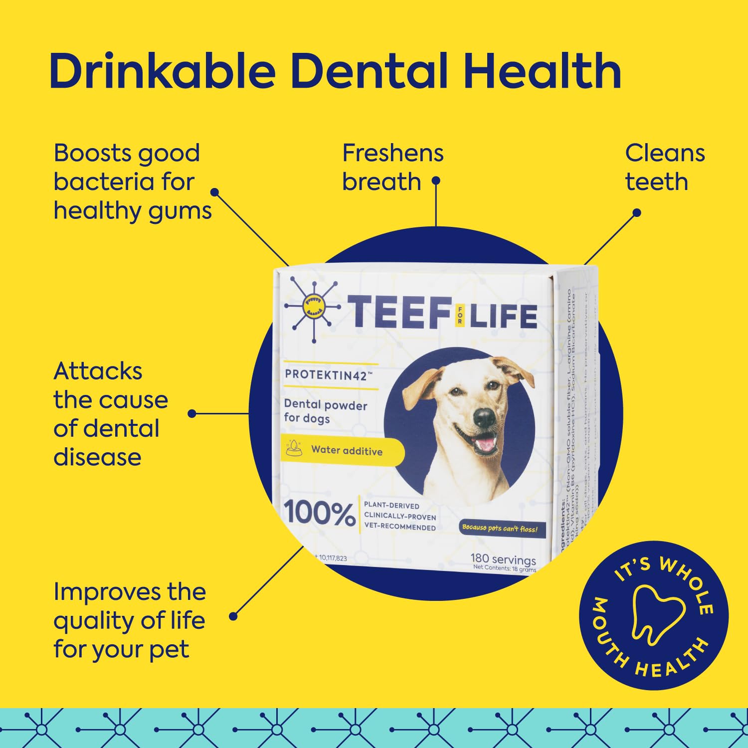 Protektin42 añadida al agua o comida diaria para cuidado dental.