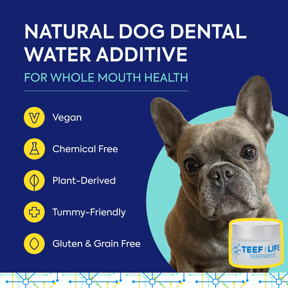 Protektin42: cucharada de polvo dental para mezclar en agua o comida.