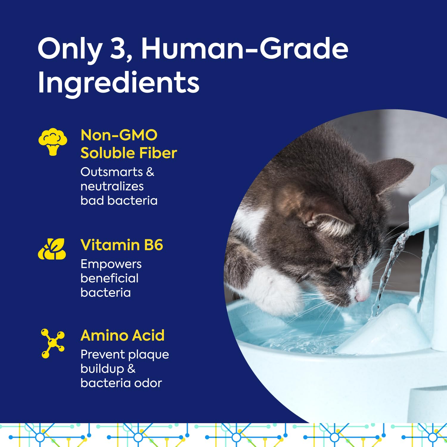 Aval veterinario para la salud bucal de mascotas.